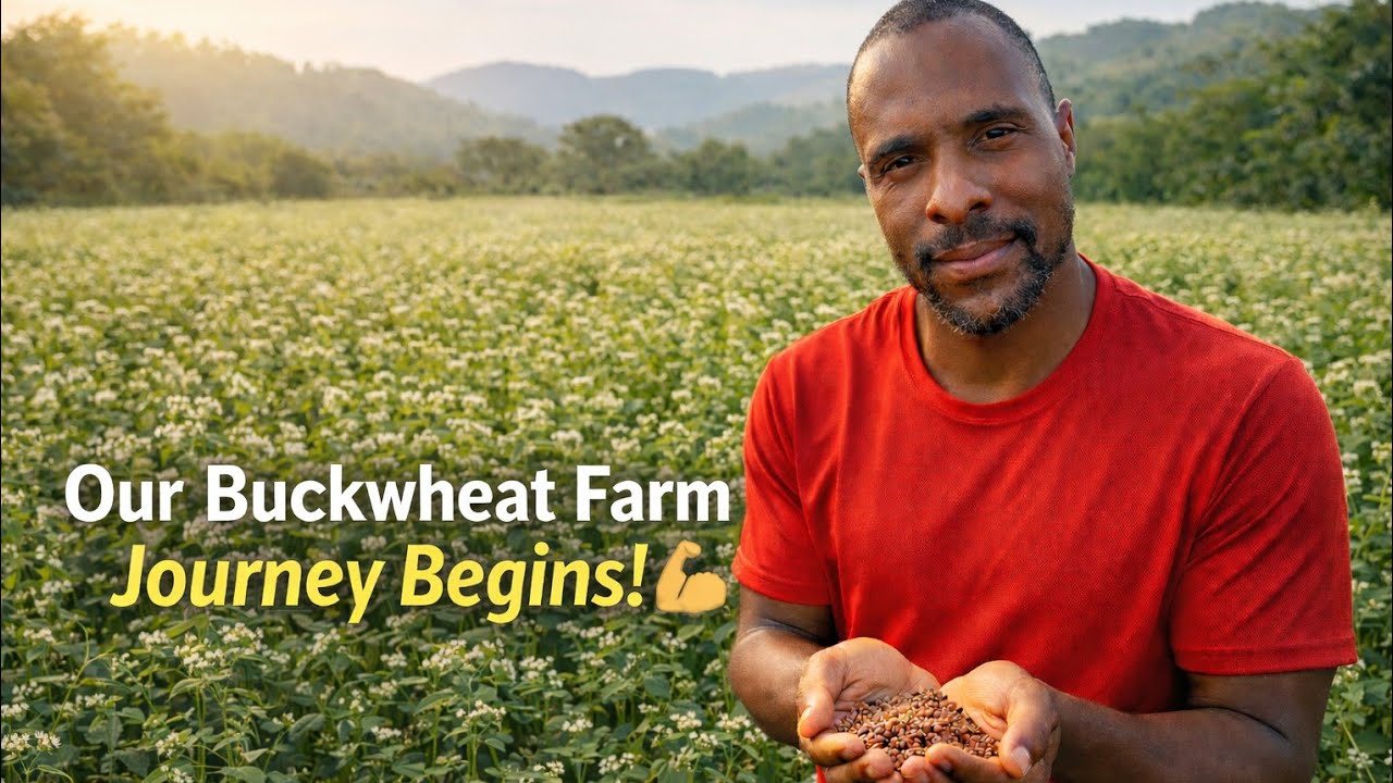 Starting Buckwheat Farming in Rural Zimbabwe 🌾🇿🇼 | Our Journey 💪🌱
