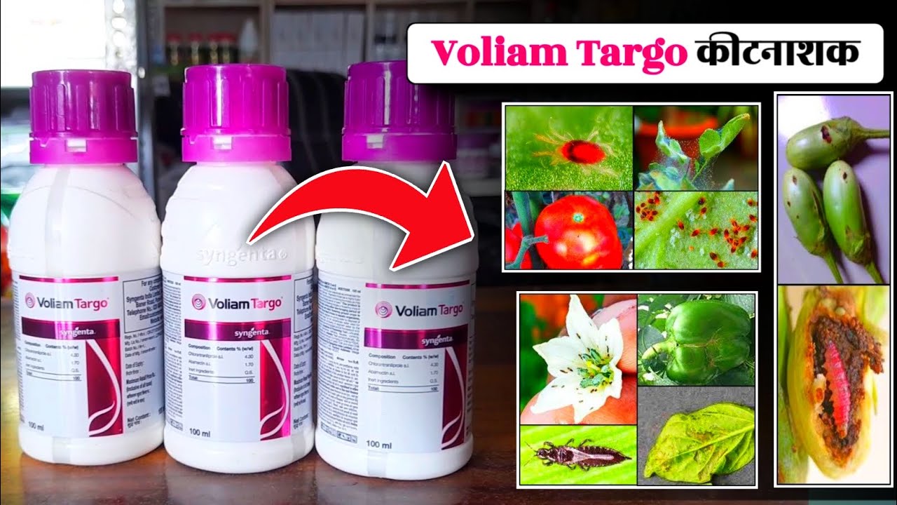 Voliam Targo Product | Syngenta | Insecticide | Chlorantraniliprole 4.3% + Abamectin 1.7%  SC