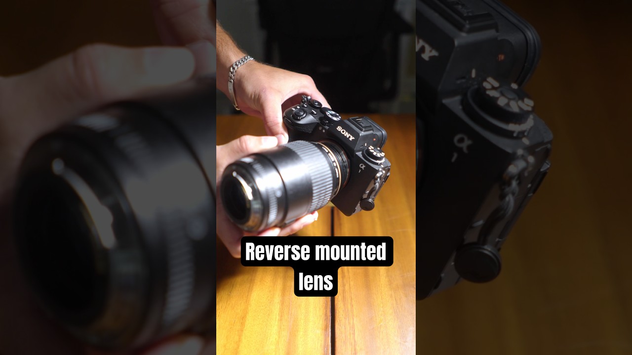 Reverse Mounted Macro Lens #macrophotography