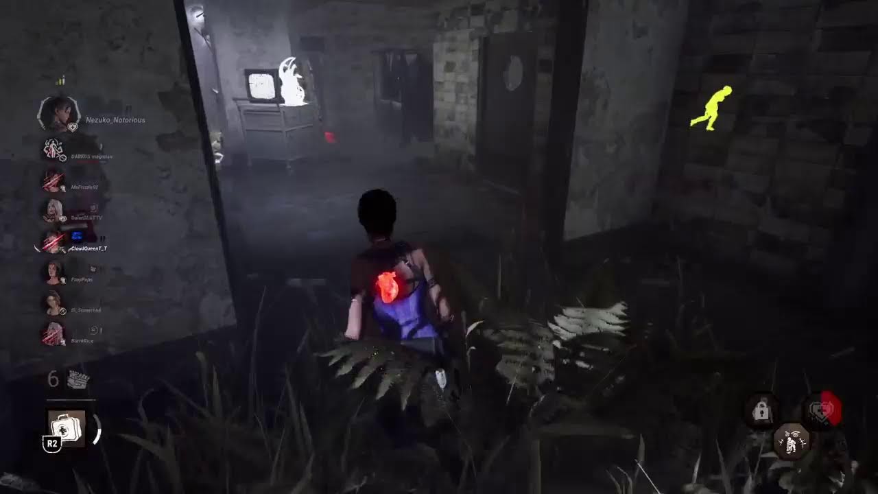 DBD 2v8