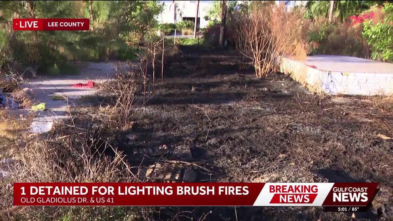 Lee County deputies investigate several small fires as person of interest in custody
