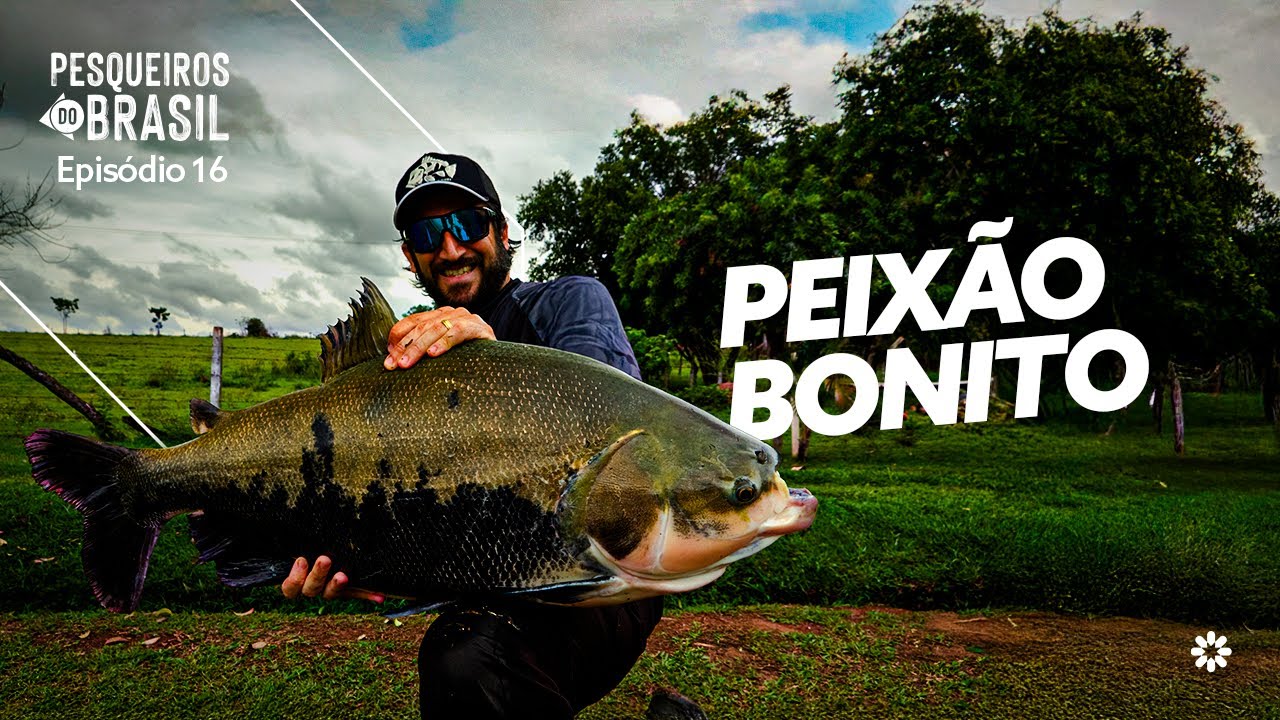 VARIEDADE DE ESPÉCIES E GRANDES PEIXES NO PESQUEIRO SANTA CLARA!