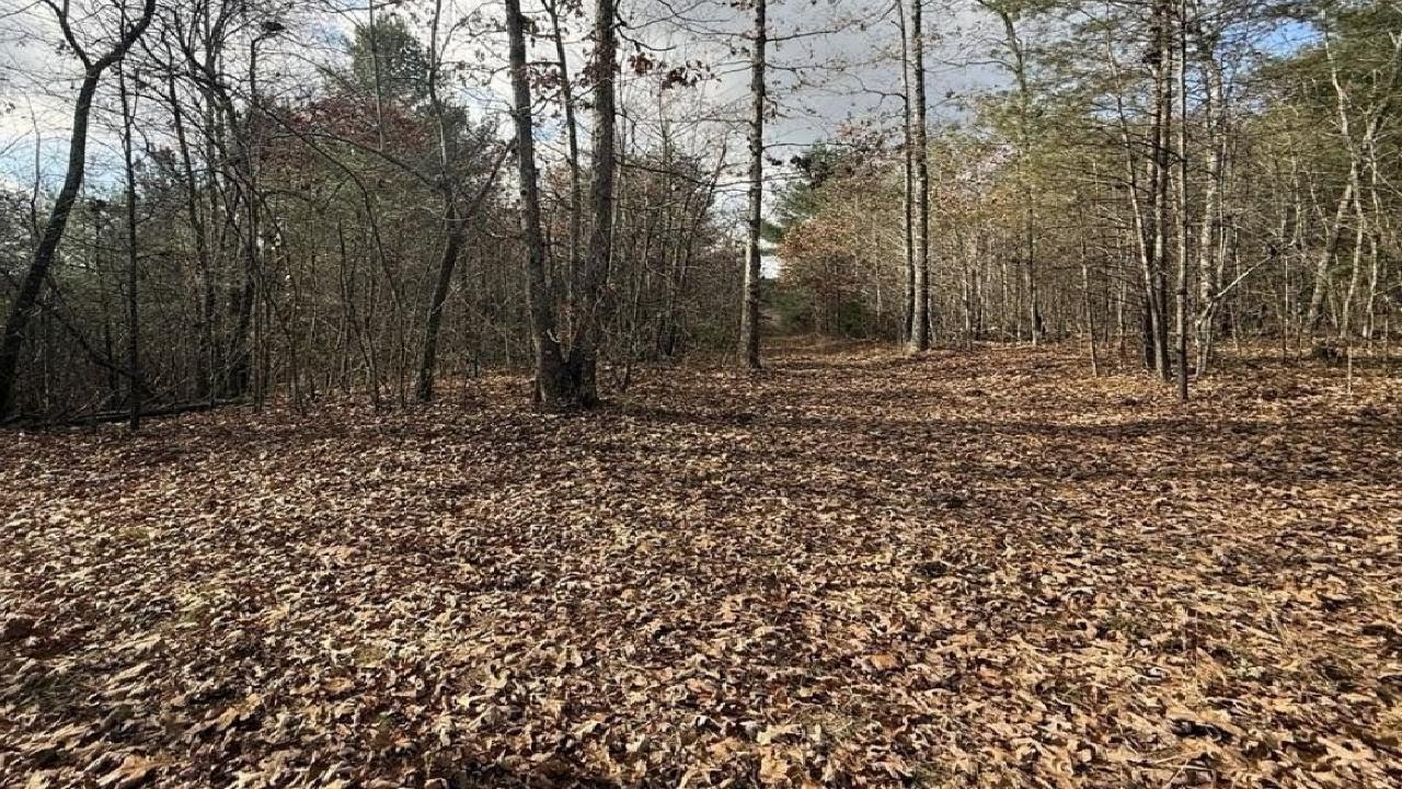 10.77 Ac Valerie Dr, Deer Lodge, TN Presented by Lisa Garrett.