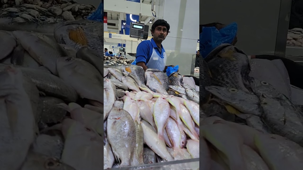 Fish market Dubai 2026