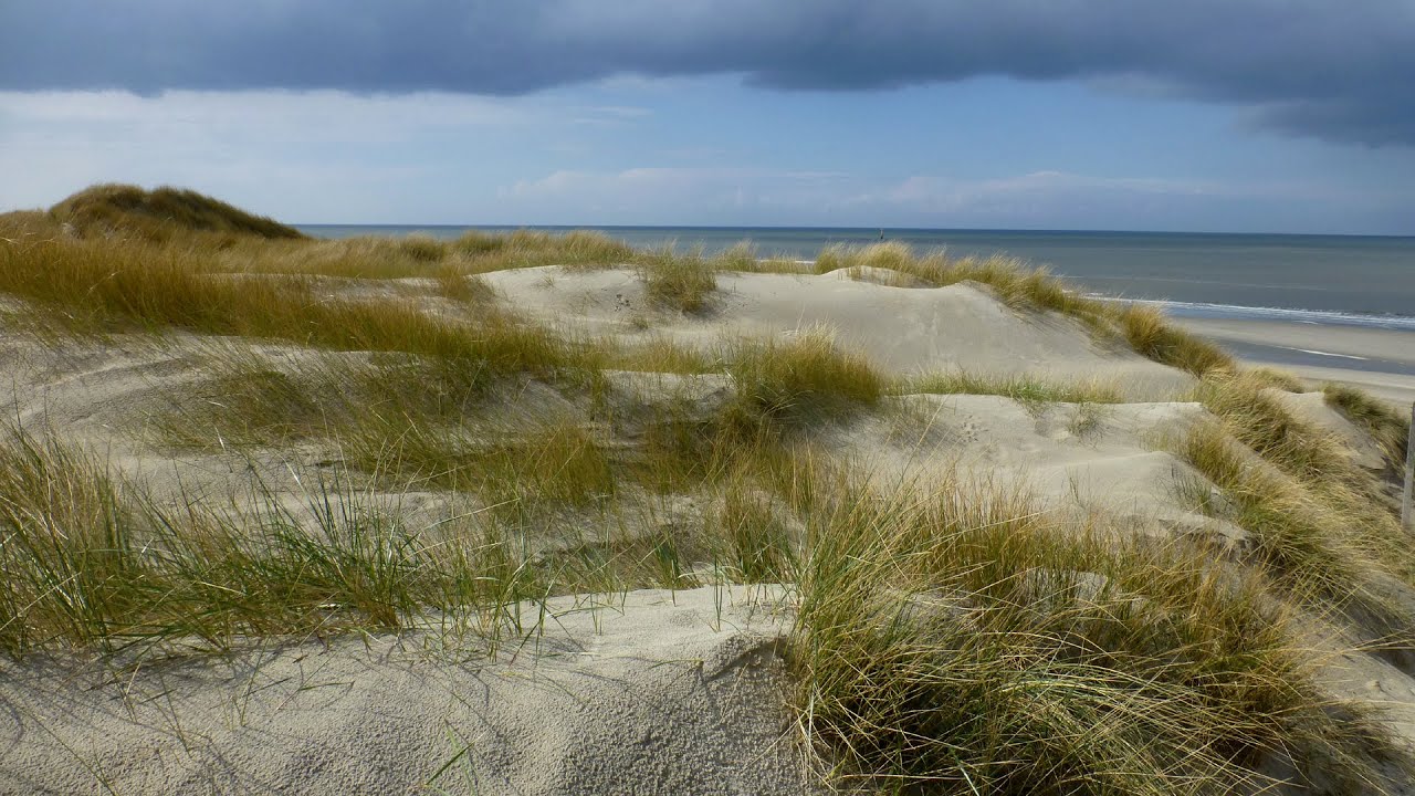 Wandern - Texel, Rund um De Koog