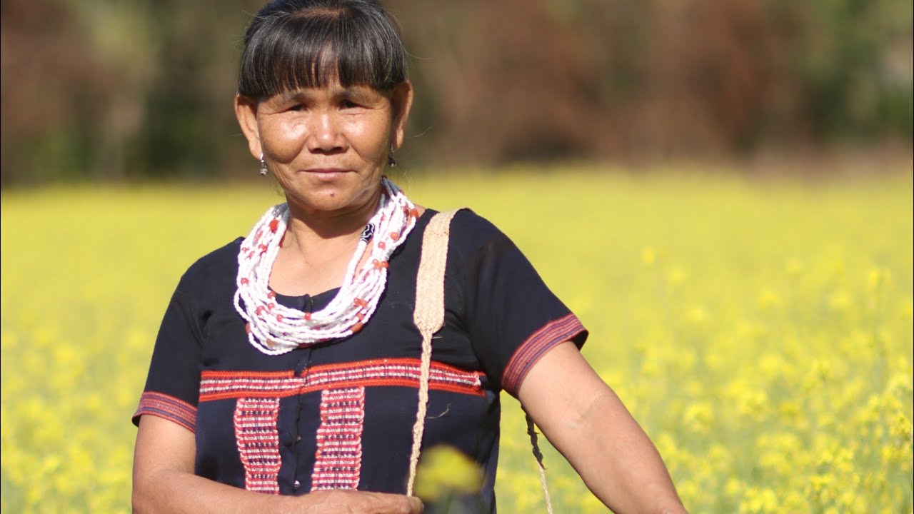 Highlight video of Koronu Golden Jubilee Reh Celebration-2023 | Idu Mishmi | Lower Dibang Valley|