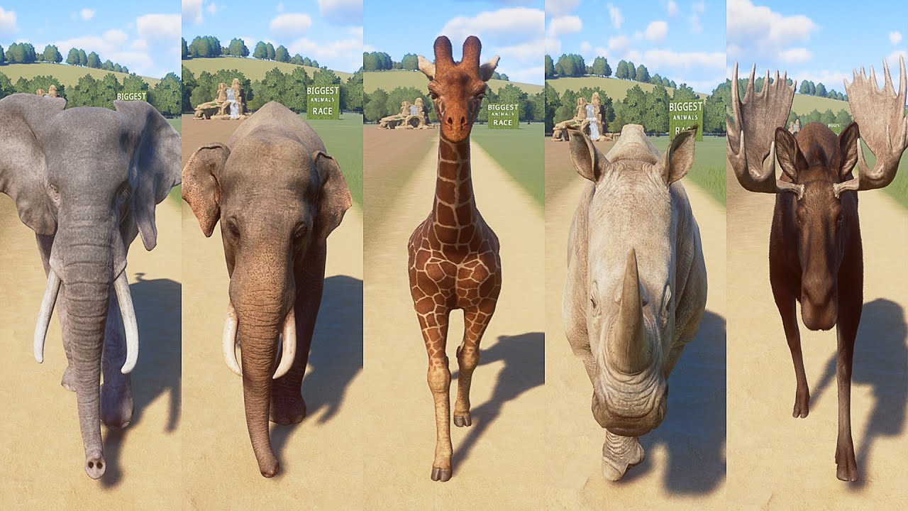 Planet Zoo - New Update 1.7 and North America Animal Pack | Biggest Animals Races in Planet Zoo