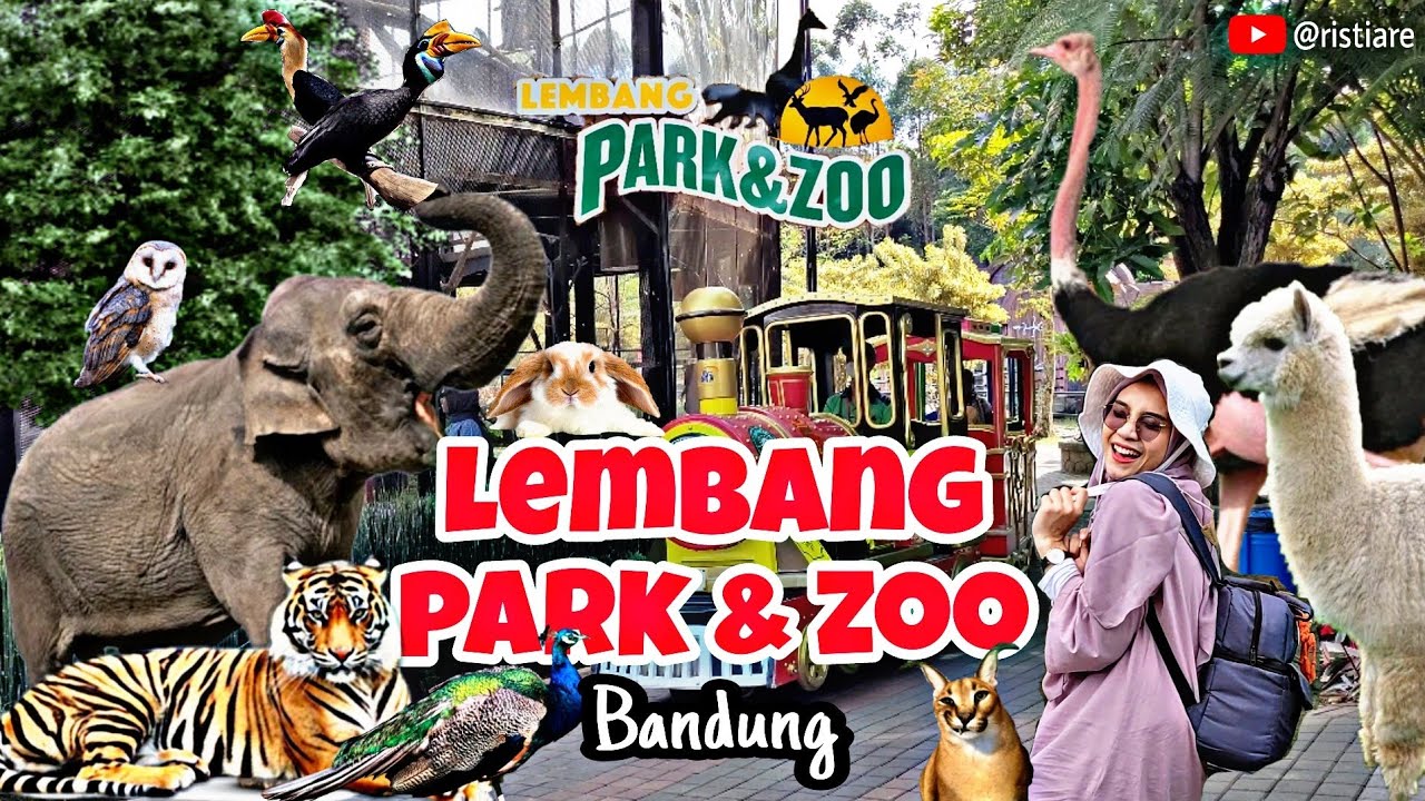 LEMBANG PARK AND ZOO | KEBUN BINATANG | BANDUNG [4K]