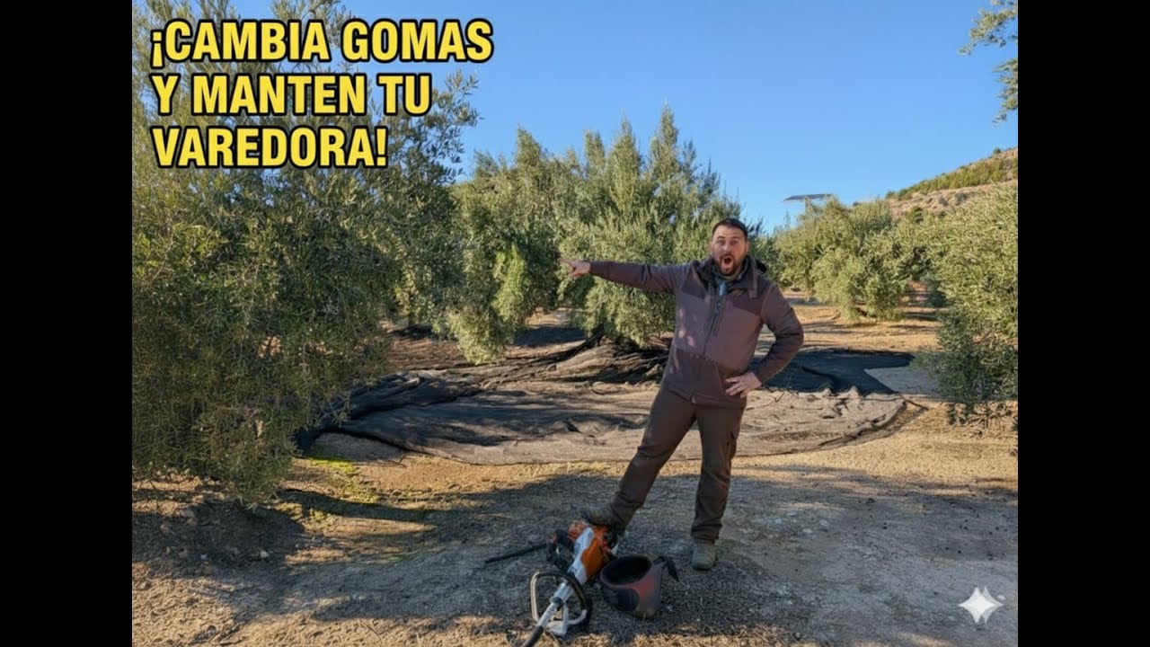 Cambia tus Gomas¡ Mantén tu Maquina y Manéjala correctamente¡