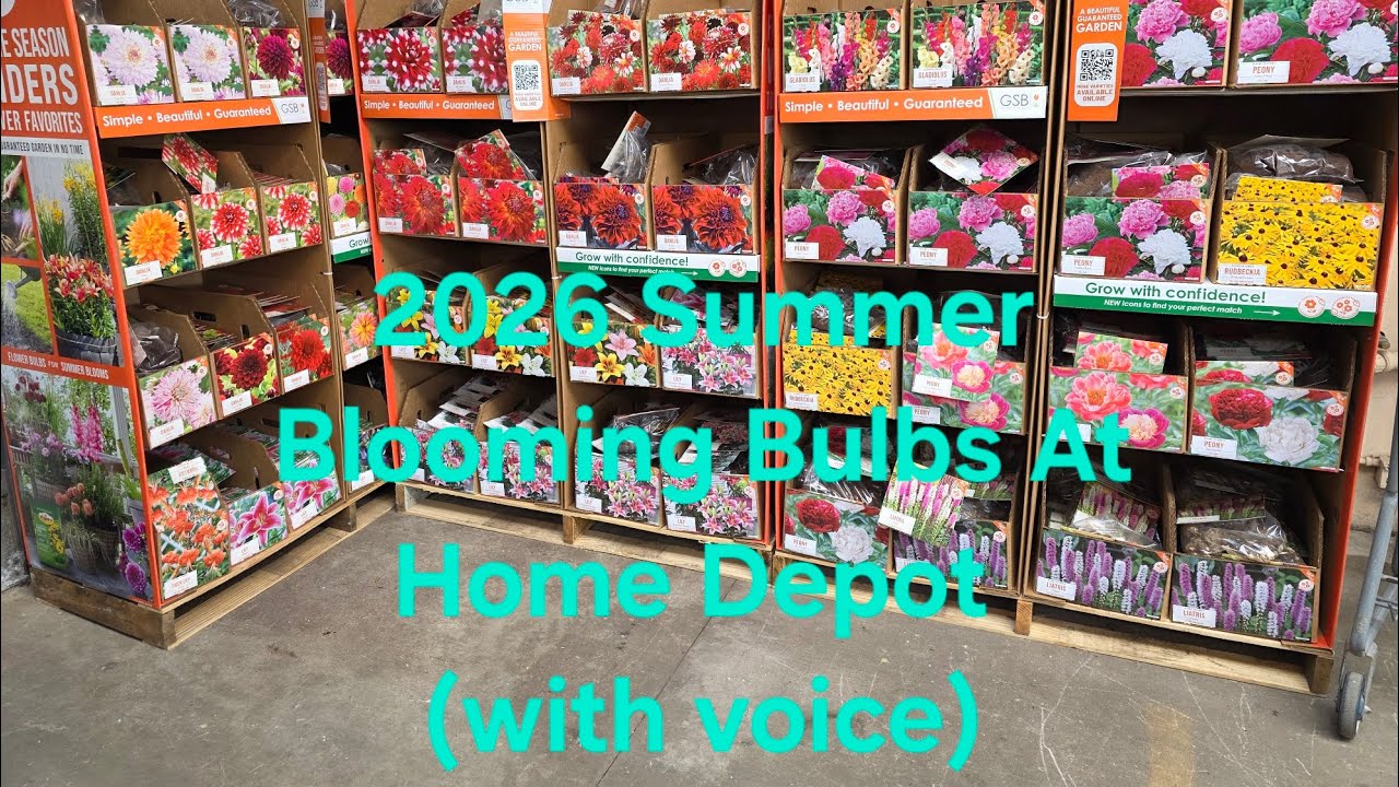 Home Depot 2026 Summer Blooming Bulbs (with voice). Great Varieties.
