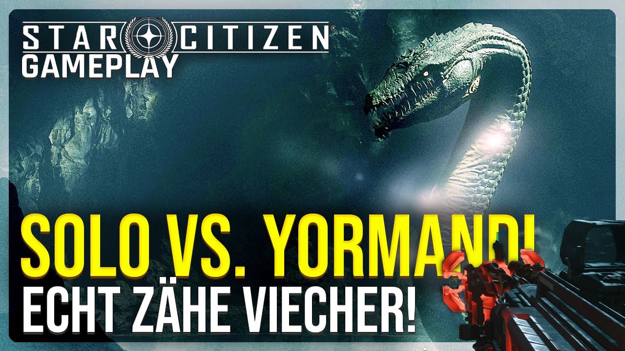 Ich habe den Yormandi SOLO versucht! Ganz schön zähe Biester... | 4.3.2 Star Citizen Gameplay