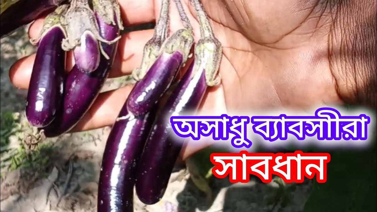 আল্লাহ সবাইকে বুঝার তৌফিক দান করুন আমিন 