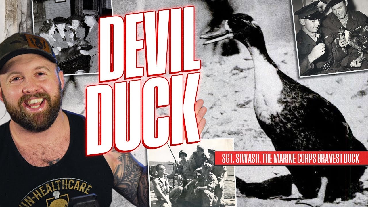 When Marines Took A Duck Into Battle In WW2 - The Devil Duck