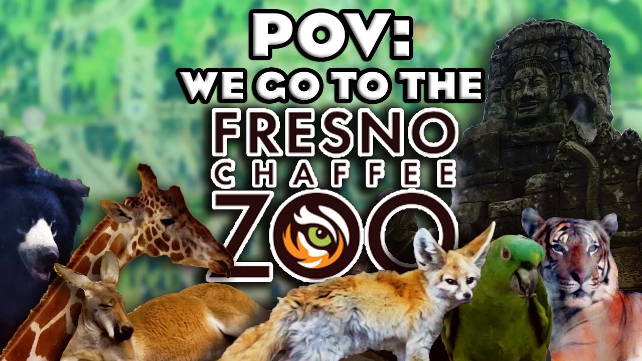 A Tour of the BEST Zoo in the Worst City