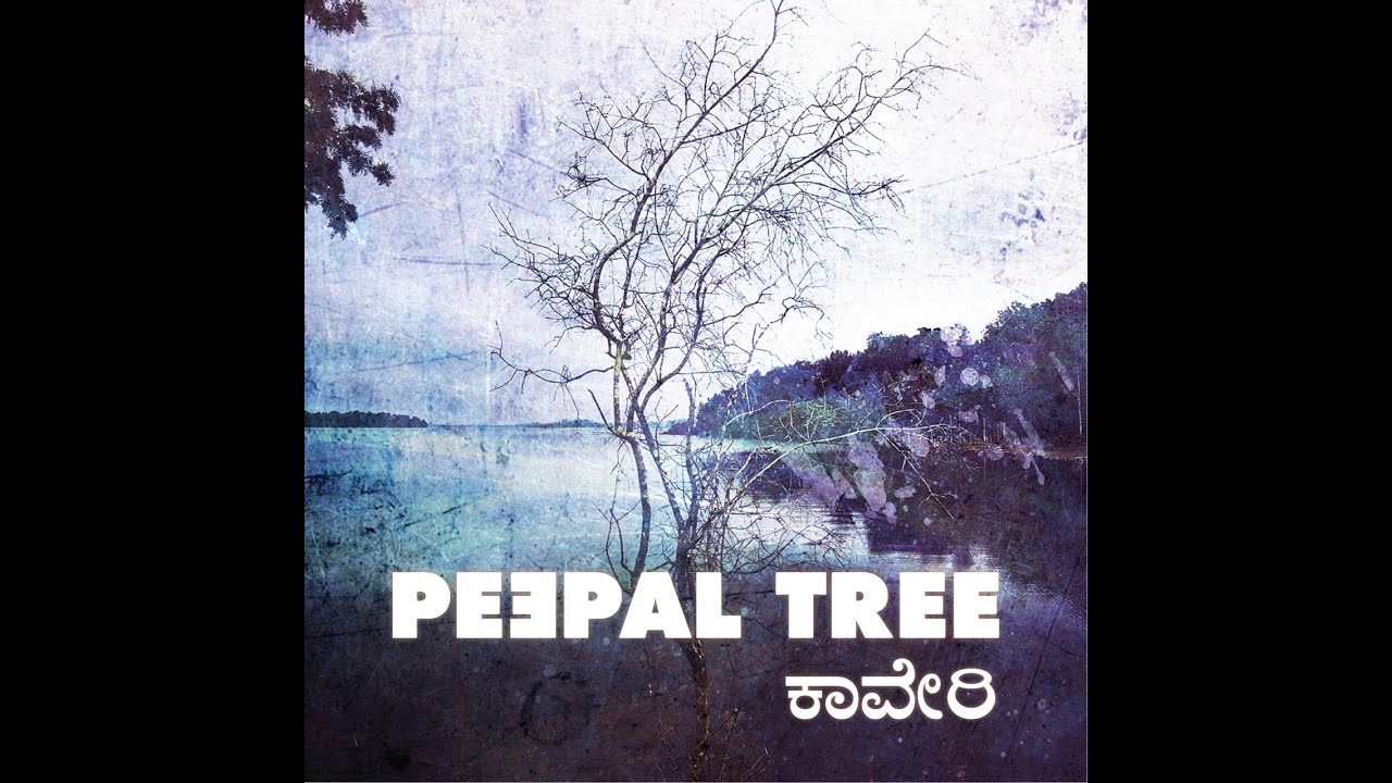 Peepal Tree - Cauvery