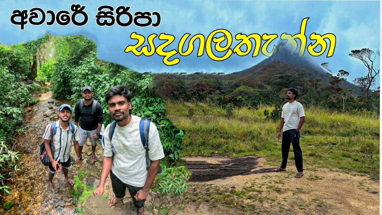 සදගලතැන්න හරහා අවාරේ සිරිපා | Off season Sripada ( sandagalathanna| Sihala yt channel | සිහලා 