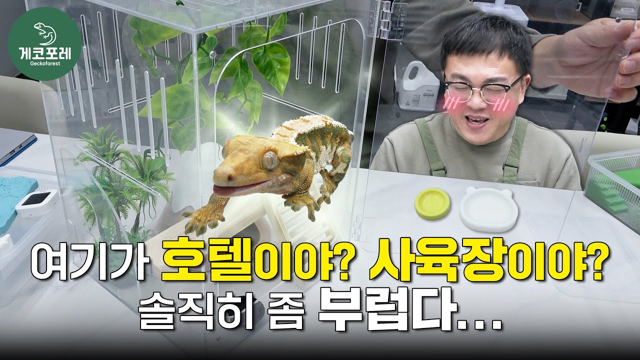 여기가 호텔이야? 사육장이야? 솔직히 좀 부럽다