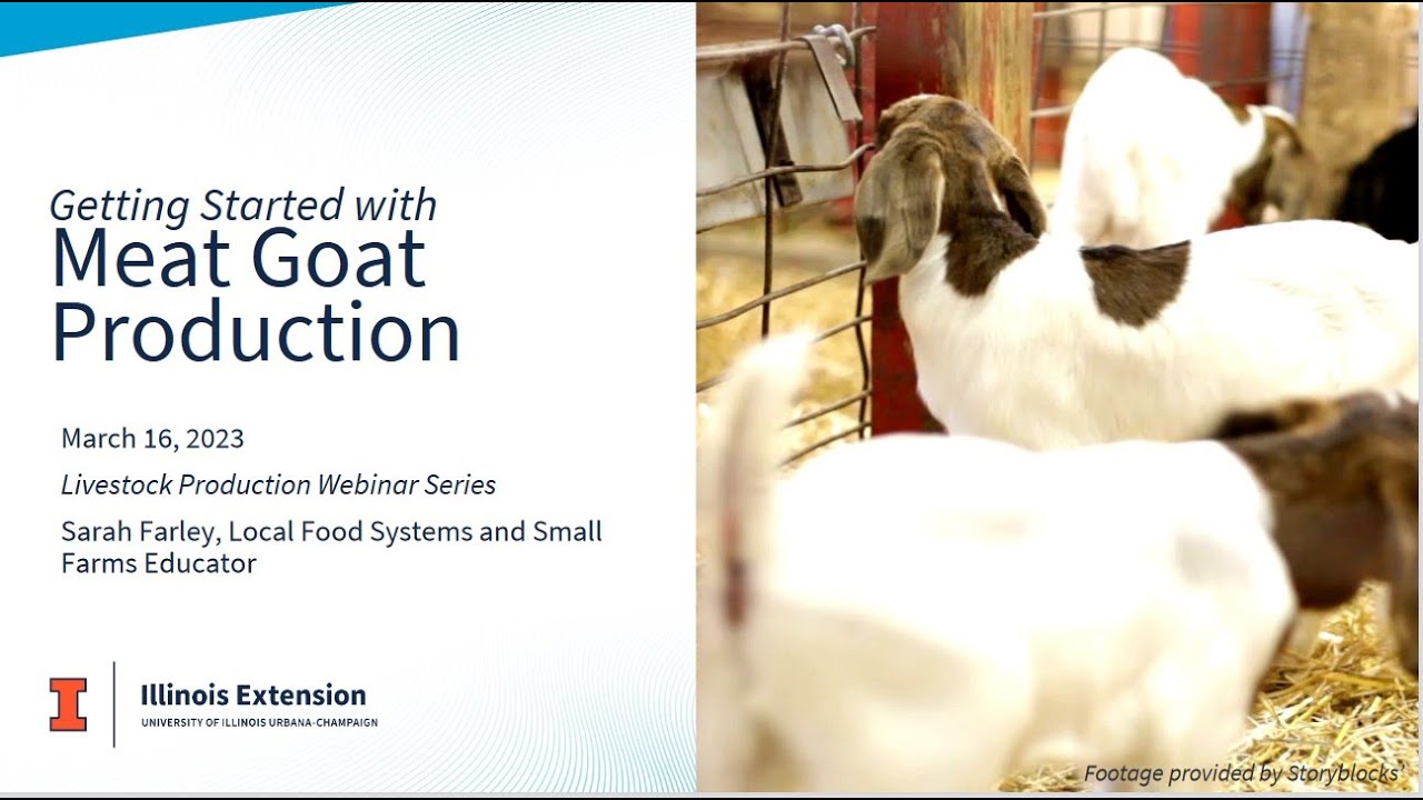 Raising Meat Goats for Beginners