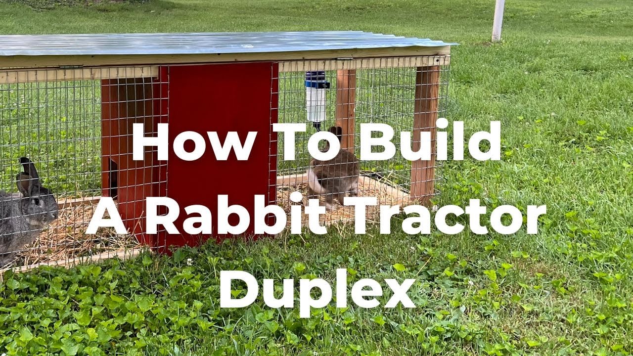 Build a Double Sided Rabbit House/Cage/Tractor