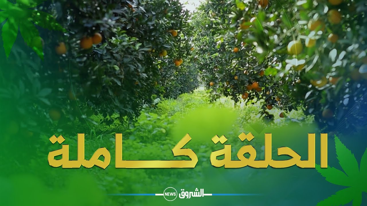 خيرات بلادي ☘ | مهندس فلاحي يكشف أسرار الأشجـــار المثمرة