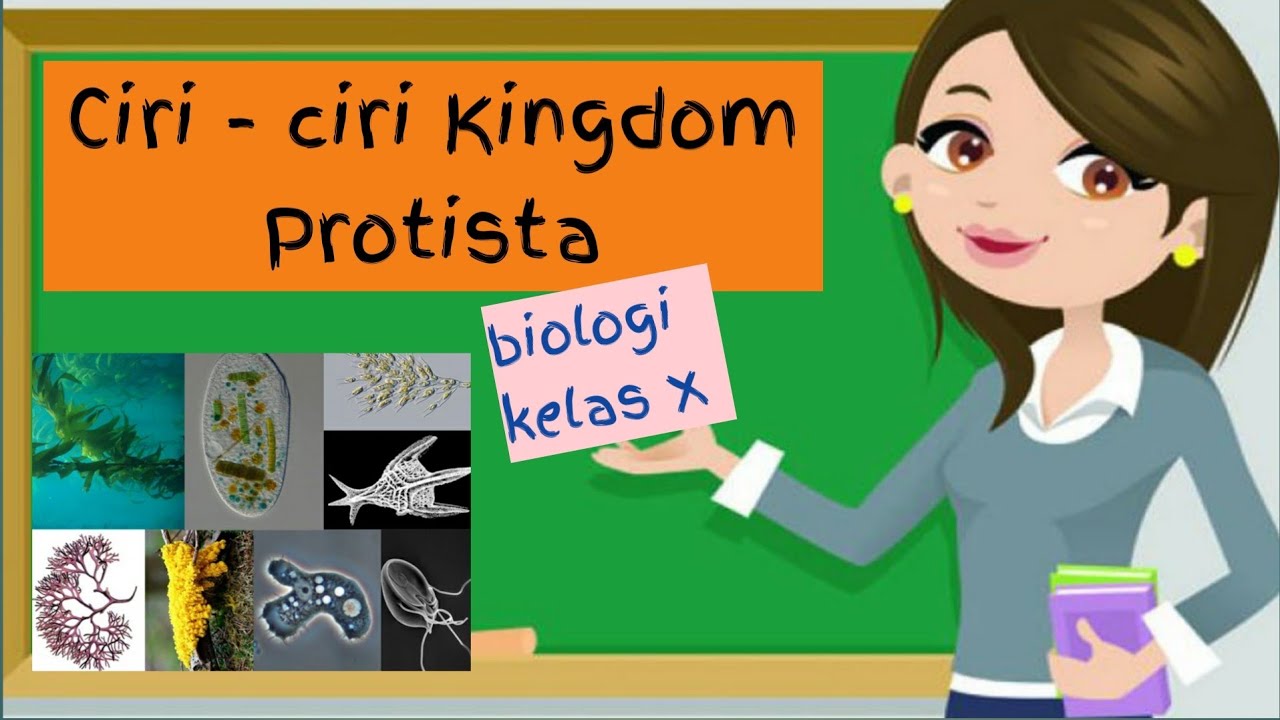 Protista Kelas 10 | Materi Biologi Kingdom Protista