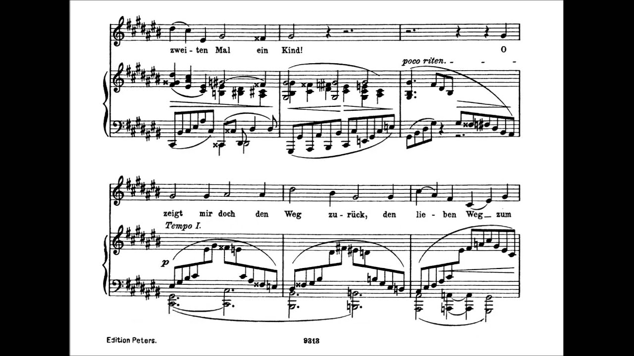 Johannes Brahms   