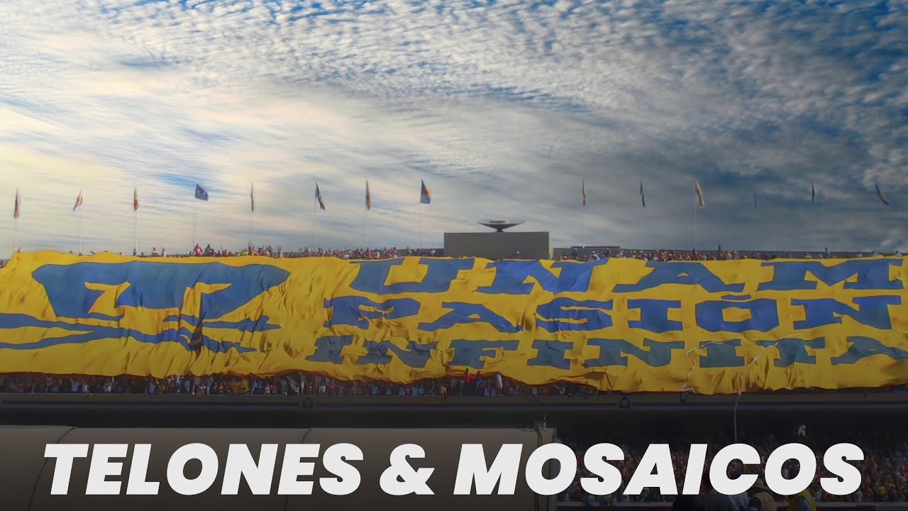 Recopilación de Telones y Mosaicos de la Rebel de Pumas ❤️