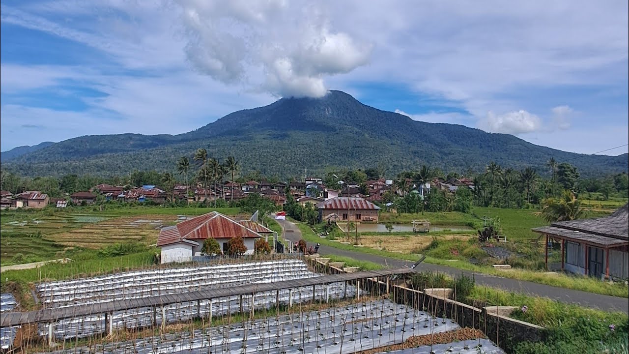 Suasana Desa Pelosok Dikaki gunung Lubuk Raya,Tapanuli selatan‼️