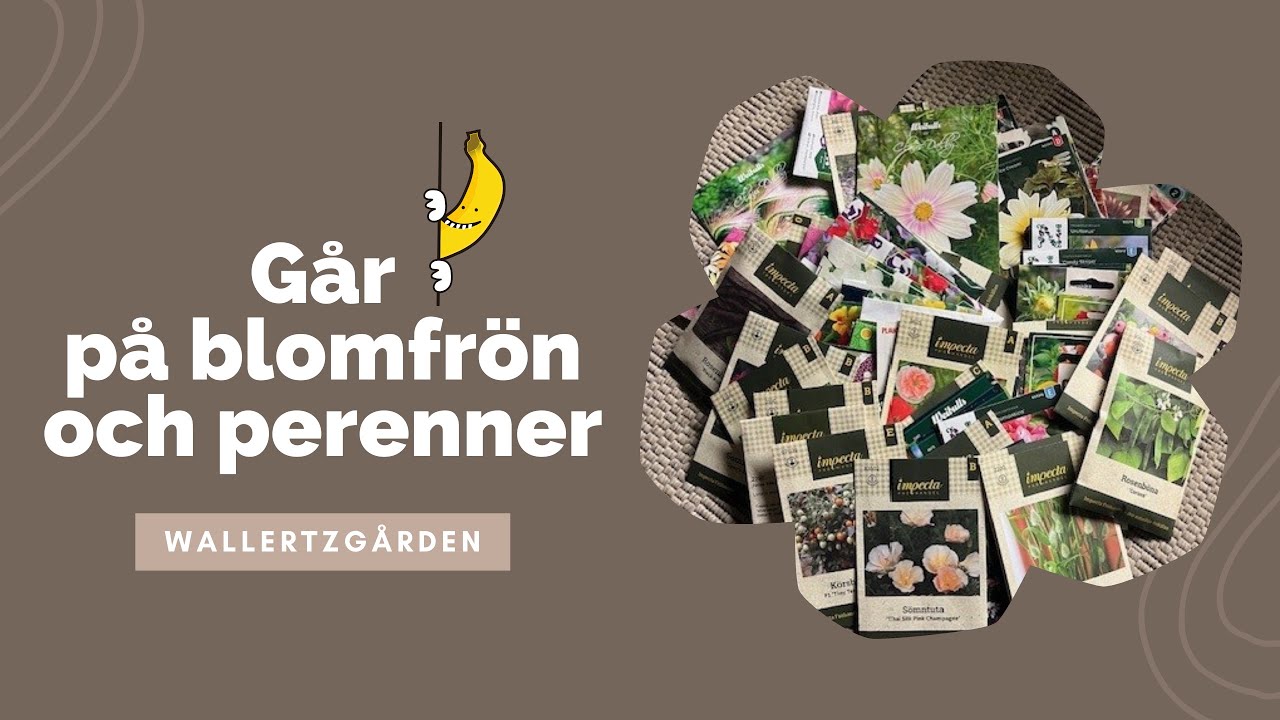 Jag går bananas på blomfrön och perenner