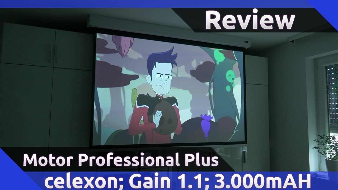 celexon Batterie Leinwand V2.0 Motor Professional Plus Review (2022)