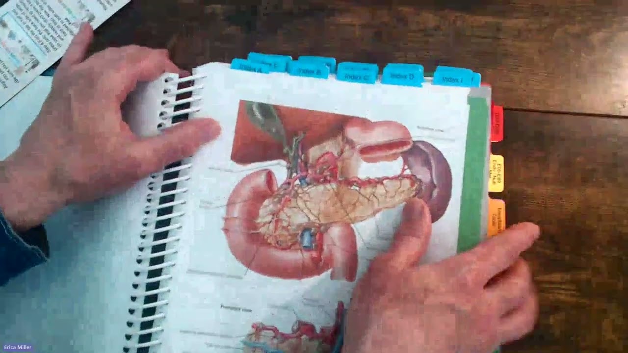 ICD 10 CM Tabbing Tutorial