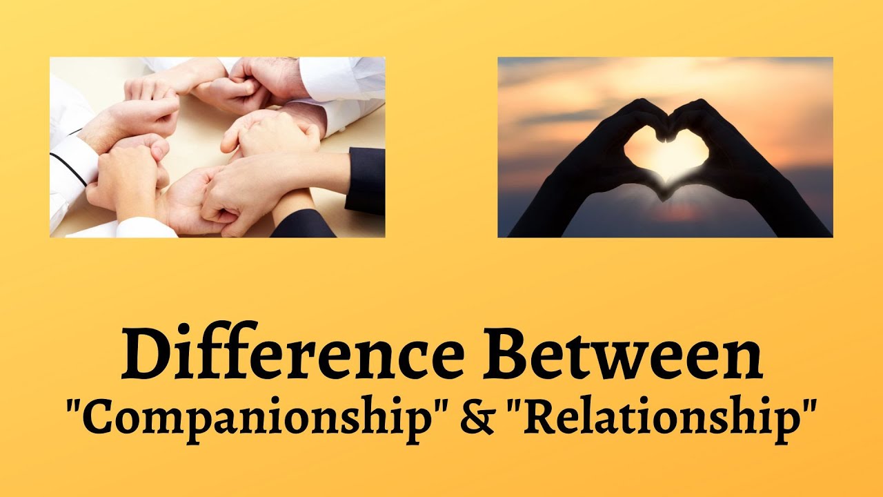 Difference Between Companionship and Relationship | Decoding Companionship and Relationships