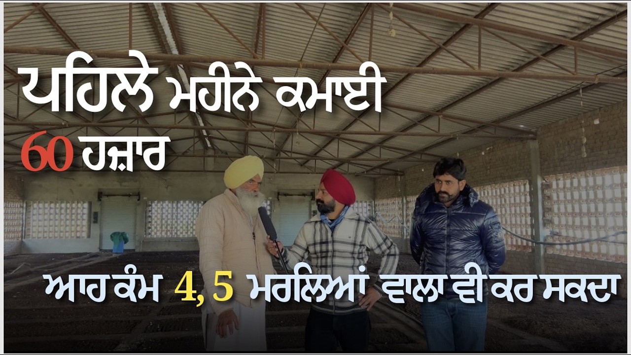 ਪਹਿਲੇ ਮਹੀਨੇ ਕਮਾਈ 60 ਹਜ਼ਾਰ,  ਆਹ ਕੰਮ 4,5 ਮਰਲਿਆ ਵਾਲਾ ਵੀ ਕਰ ਸਕਦਾ | Punjab Aala Podcsat