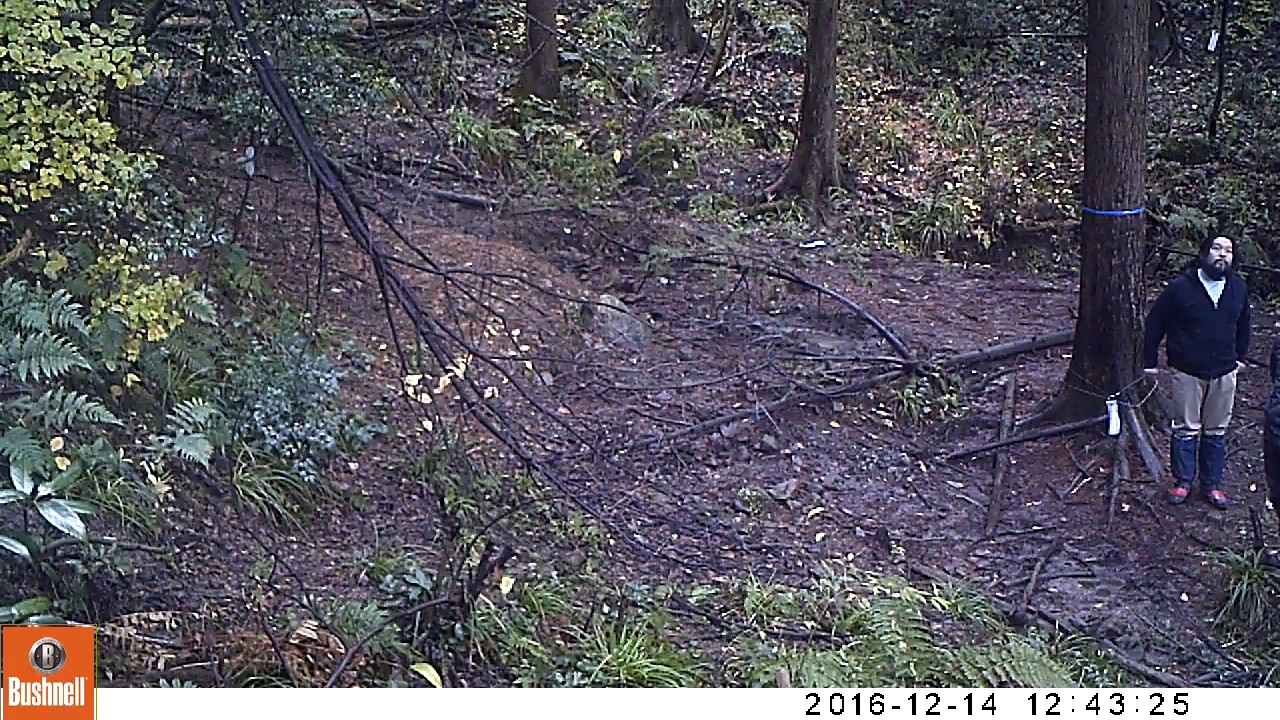 2016/12/14　12：43　幻の民山窩(サンカ)！？　が映る