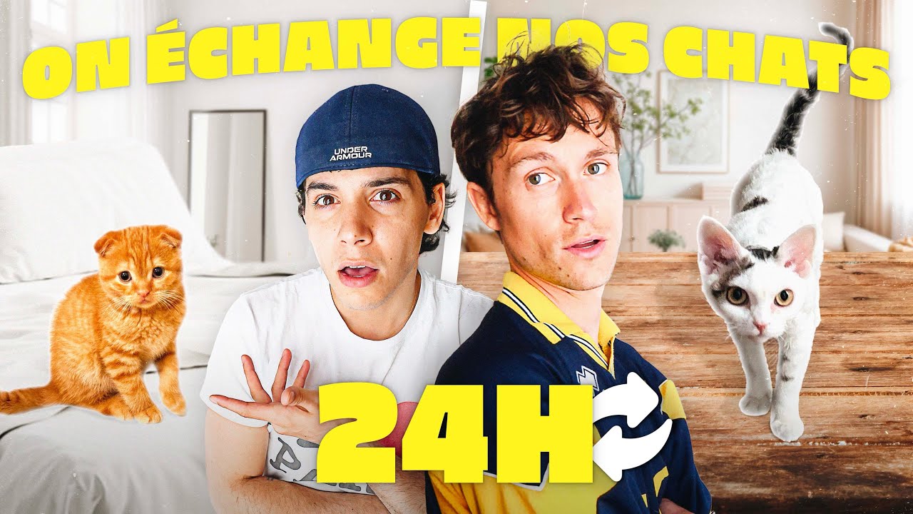 ON ÉCHANGE NOS CHATS pendant 24H!!
