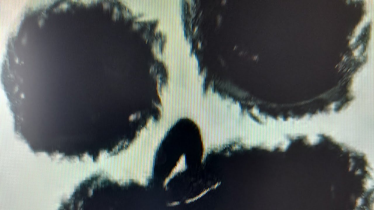 Testing if thinknoodles myth is true. (Zolphius)