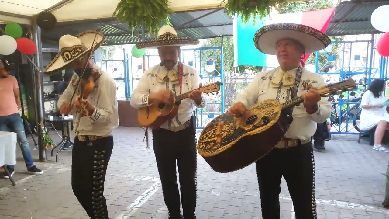 Suavecito/La Camisa Negra - Mariachi Los Amigos