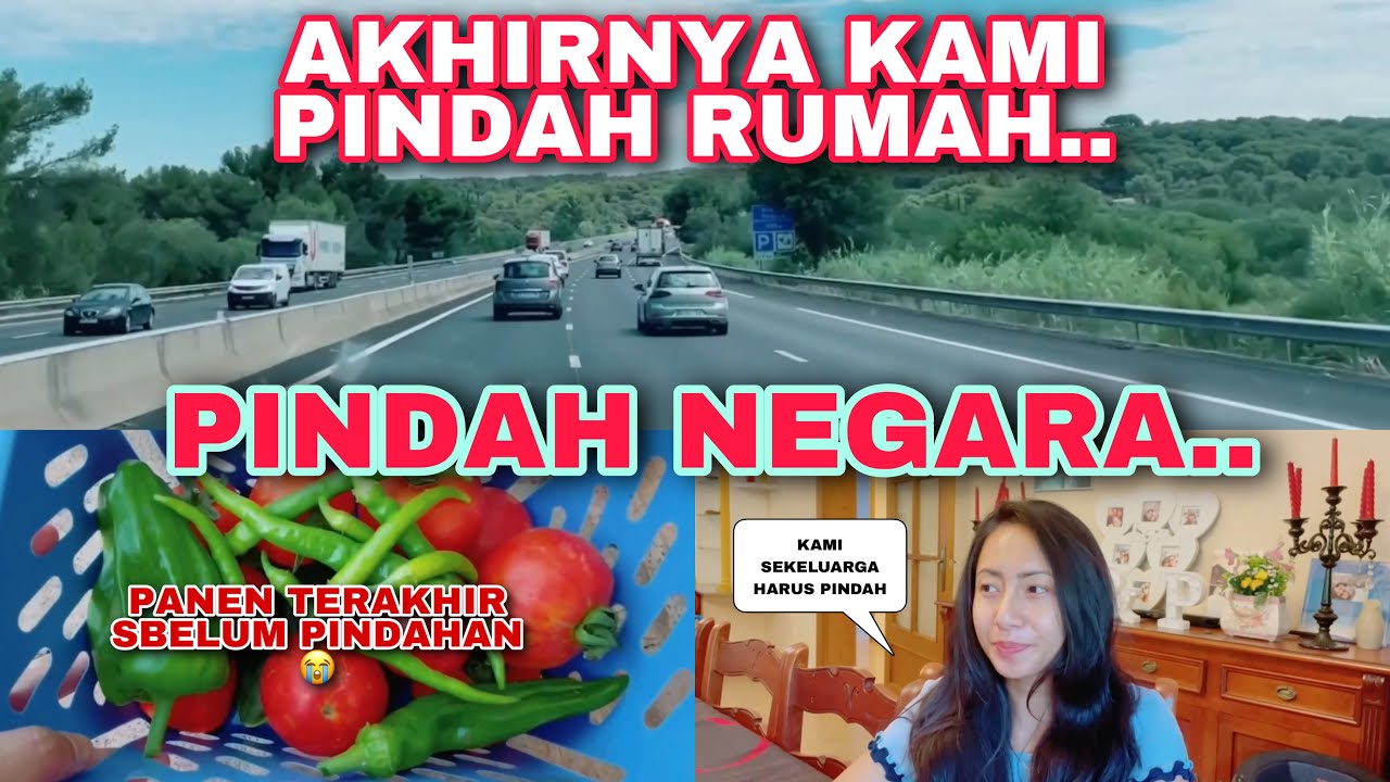 PINDAH RUMAH, PINDAH NEGARA.. PANEN TERAKHIR SBELUM PINDAHAN 😭