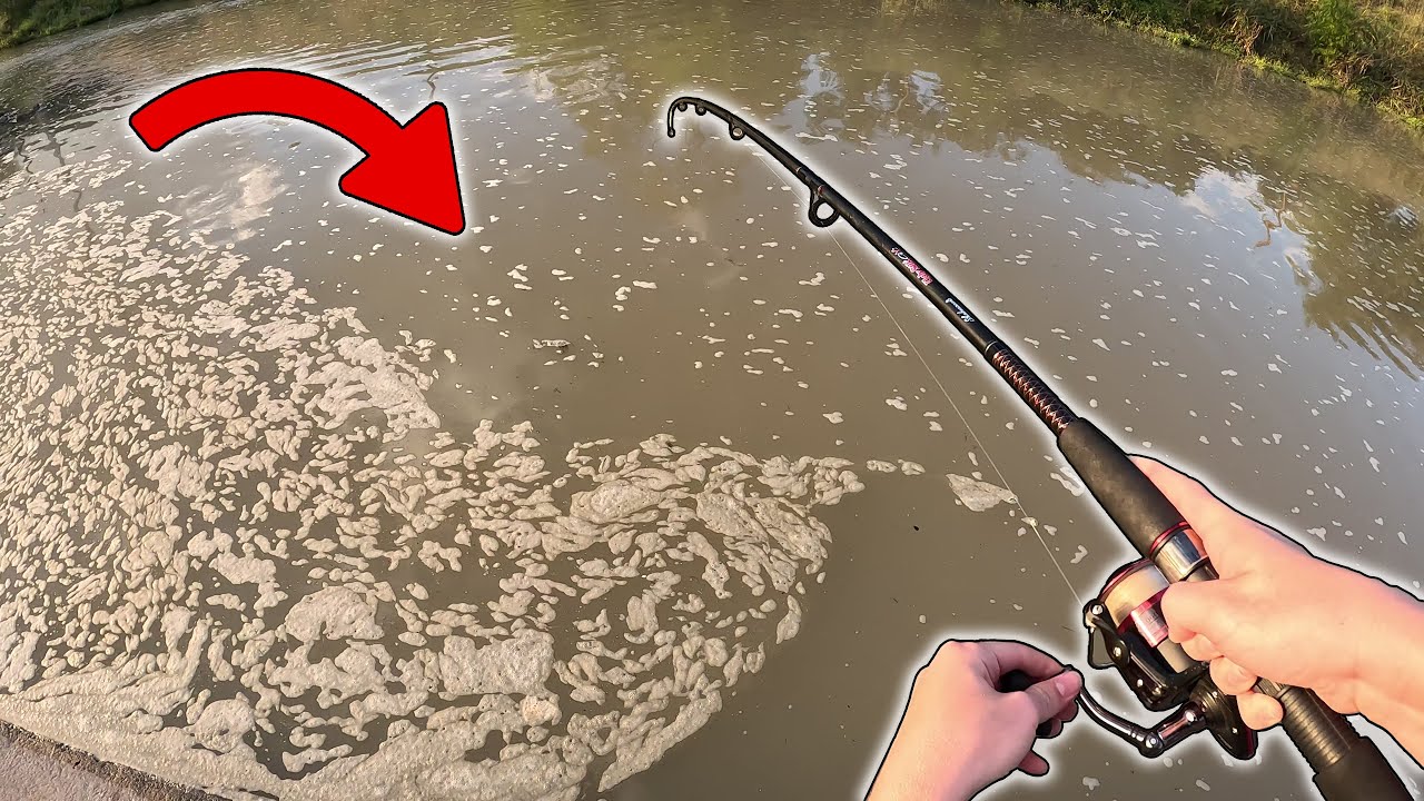 This NASTY BAYOU was LOADED with Them!