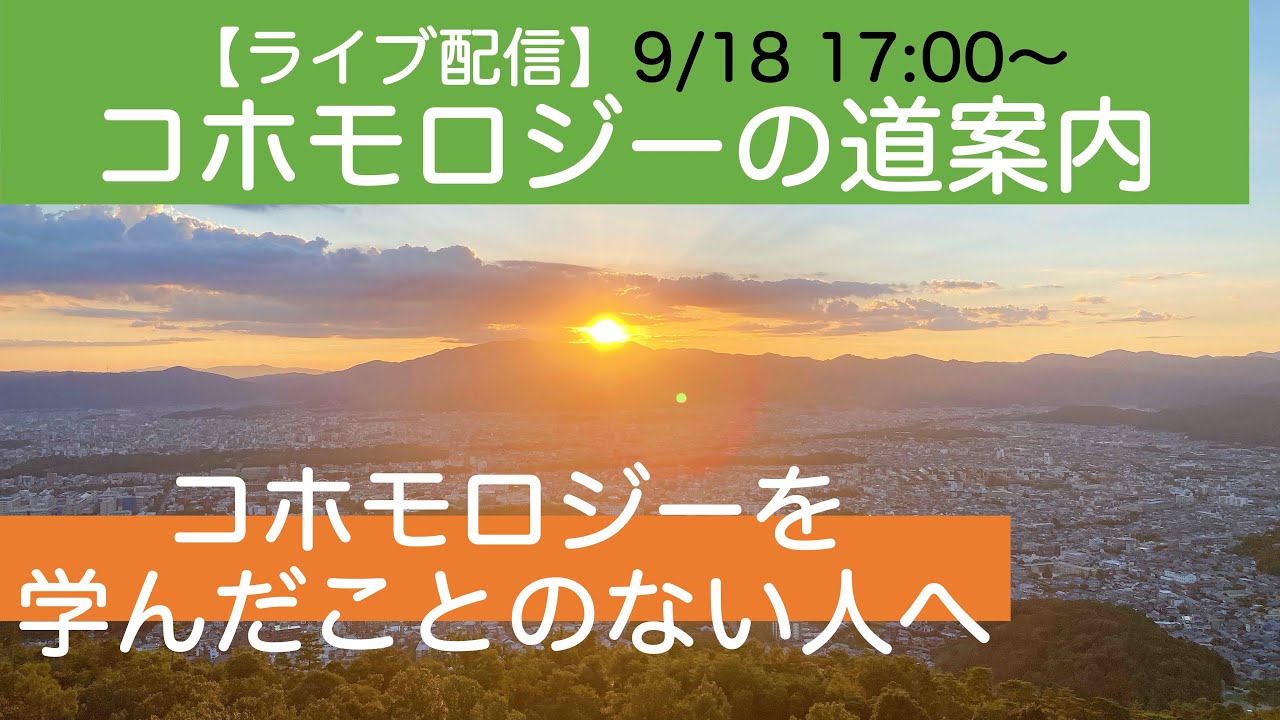 【ライブ配信】コホモロジーの道案内