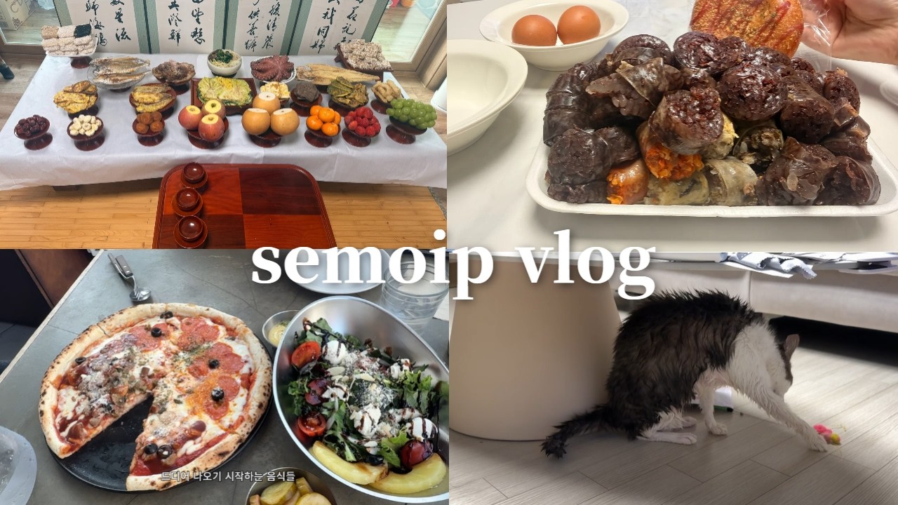 명절 연휴에 차린거 먹고만 오는 며느리 #30대 #30대브이로그 #데일리 #고양이 