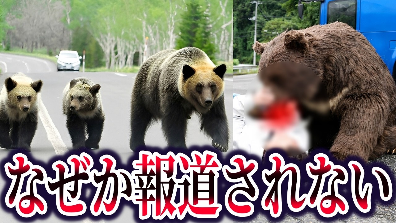 【ゆっくり解説】羅臼岳ヒグマ襲撃事件の一部始終…テレビが報道しなかった真相