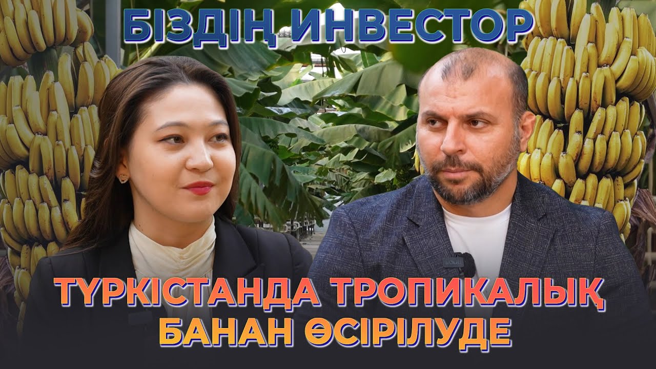 Түркістанда тропикалық банан өсірілуде | БІЗДІҢ ИНВЕСТОР | 25 шығарылым