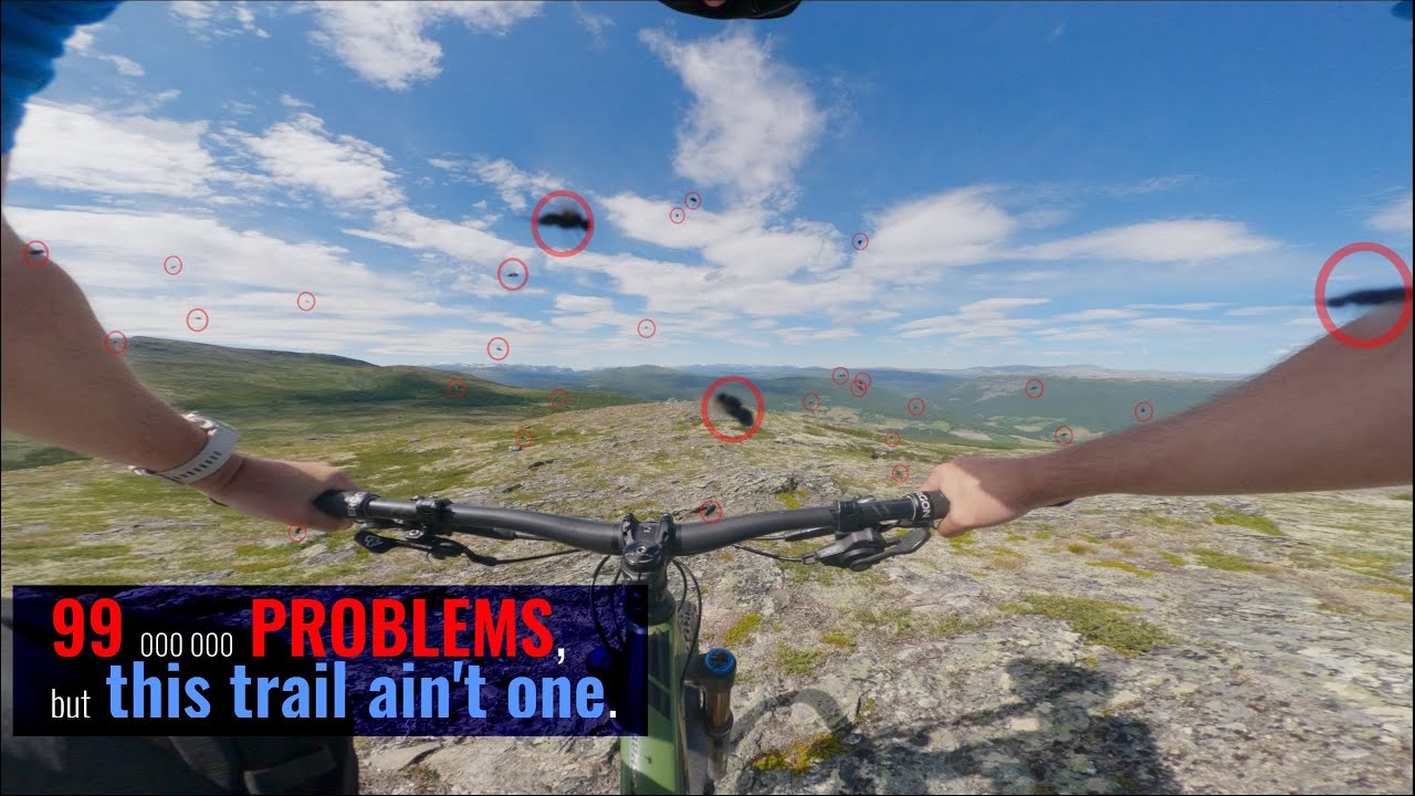99 000 000 problems -  Vardhø, Heidal - Gudbrandsdalen