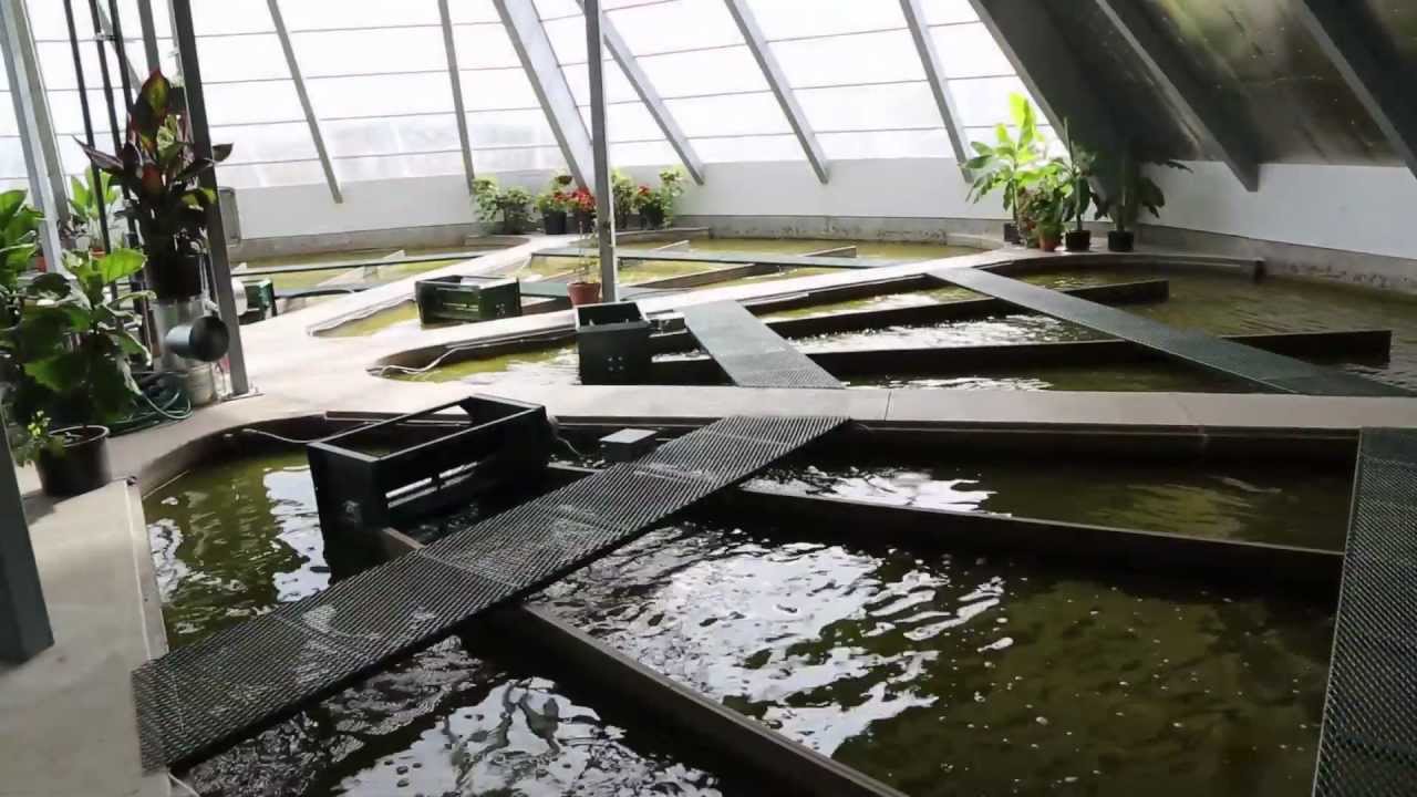 AACT: Super Smart Integrated Biosystems -