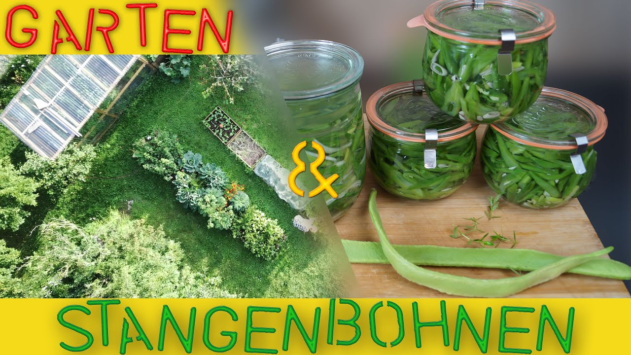 Gartenrundgang Nutzgarten - Stangenbohnen einkochen und fermentieren