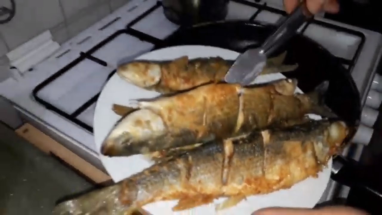 Kefal tava kefal balığı nasıl pişirilir kefal balığı pişirme balık nasıl pişirilir
