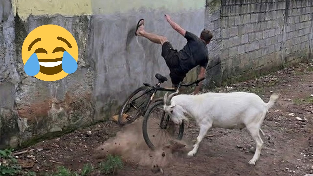 TENTE NÃO RIR 😂😂 | Momentos Engraçados e Insanos | As Maiores Falhas da Internet 2026 #4
