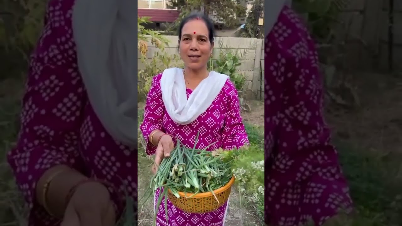 Thodi mehnat aur organic sabjiyaan