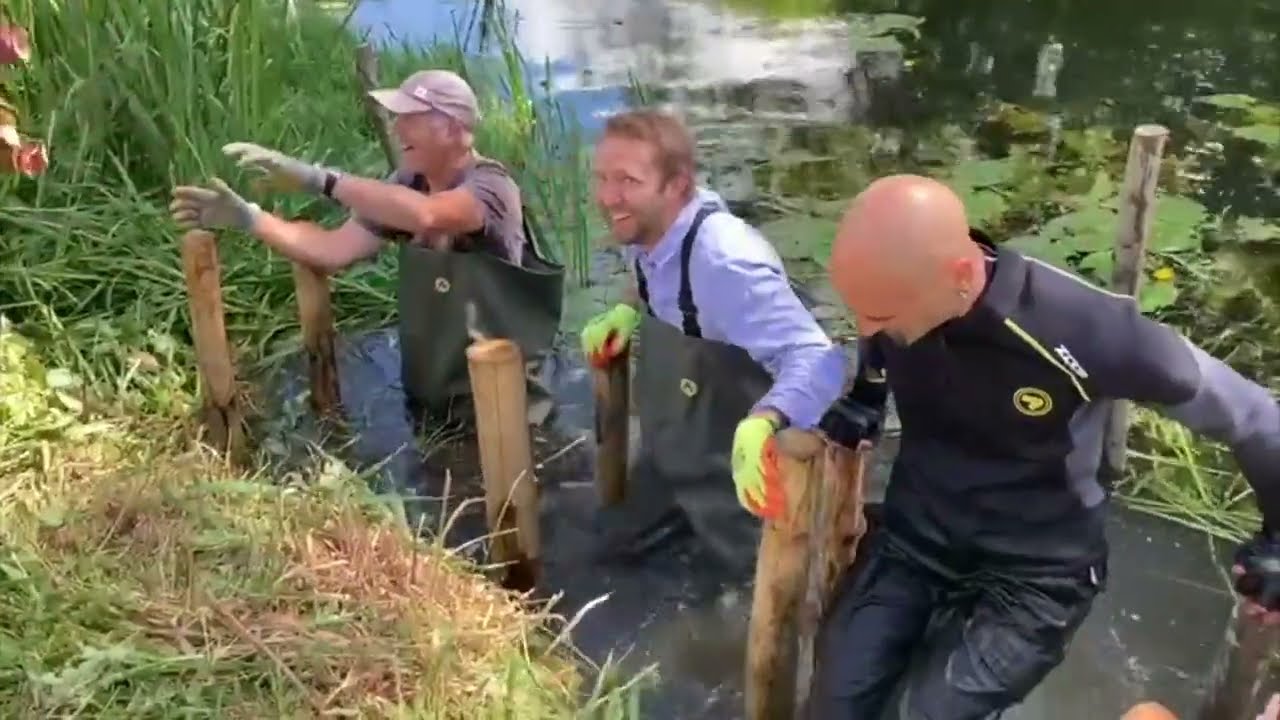 A River Waveney For All